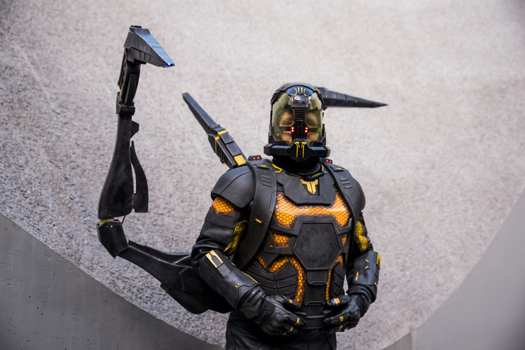Yellowjacket Cosplay by Red-Pym Cosplay