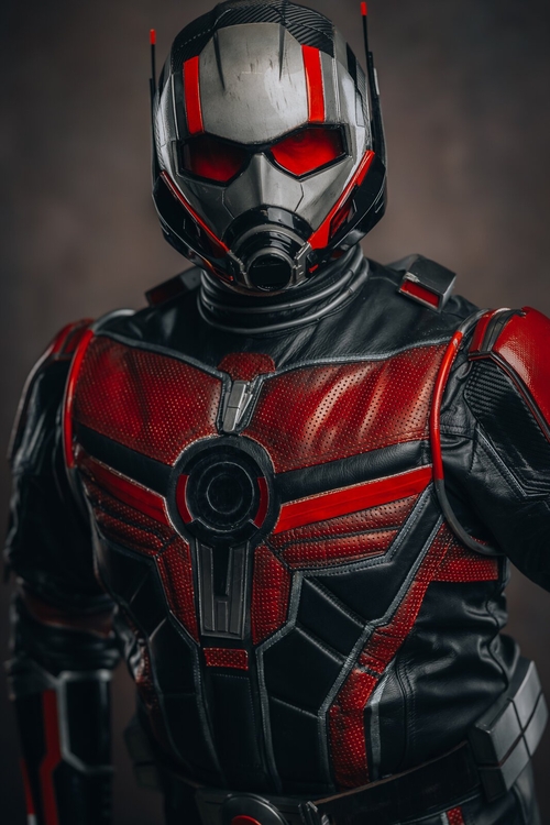 Stinger Cosplay / Ant-Man Cosplay _13